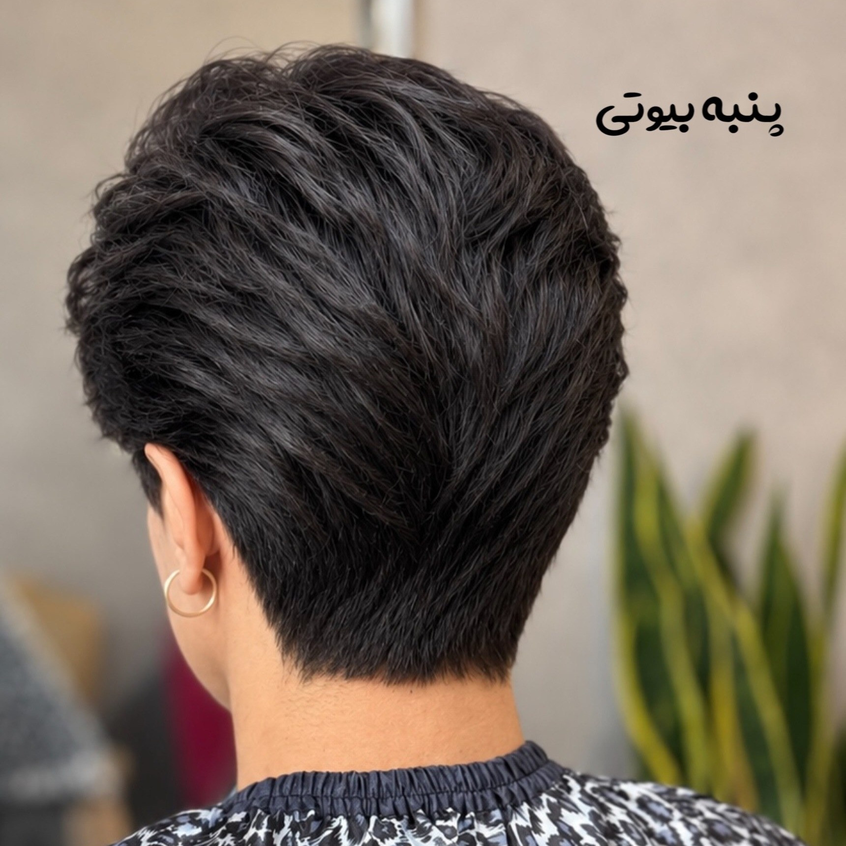 کوتاهی و استایل