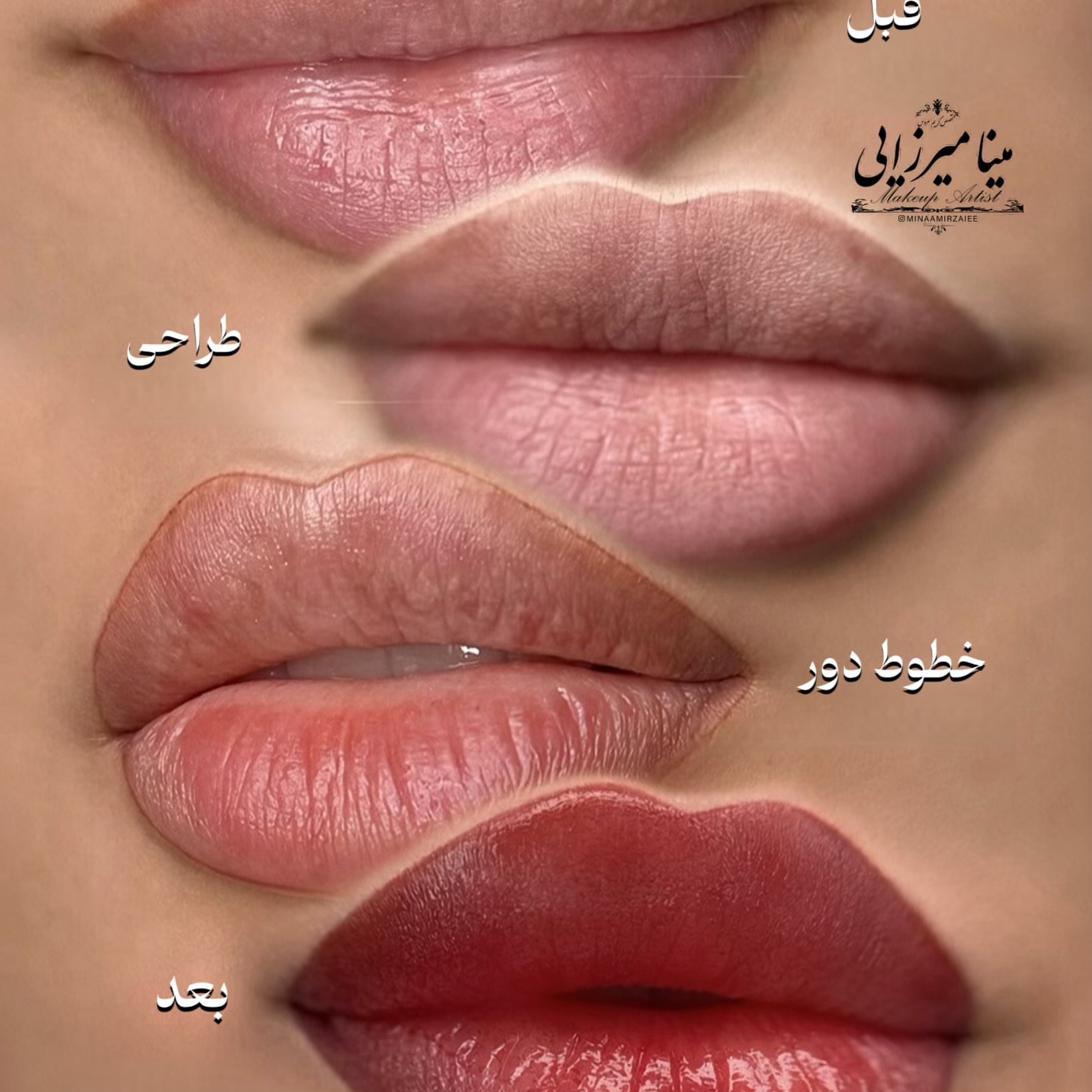 شیدیینگ لب 