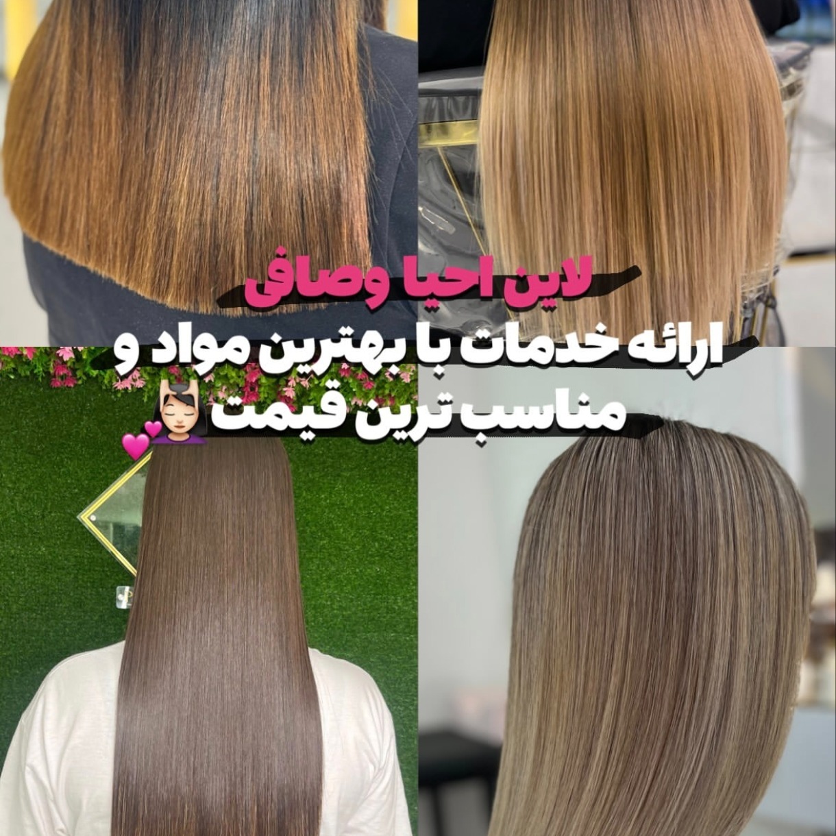 احیا و صافی 